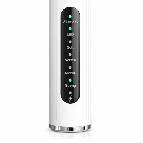 Ultragarsinis dantų akmenų valiklis